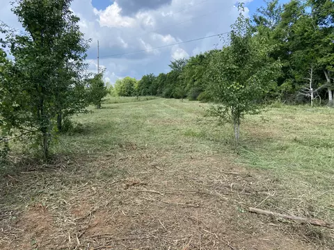 2951 Roy Mccollum Rd, Lewisburg, TN 37091