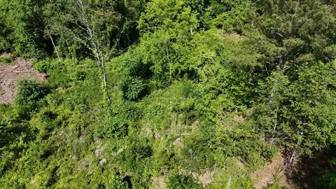 5 Lamontville Rd, Decatur, TN 37322