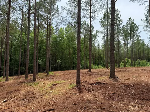 0 Spokelay Rd, Spencer, TN 38585