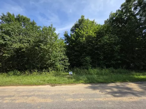 17 Gath Lucky Rd, Mcminnville, TN 37110