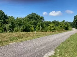 0 Lanis Rd, Baxter, TN 38544 photo 4