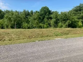 0 Lanis Rd, Baxter, TN 38544 photo 3