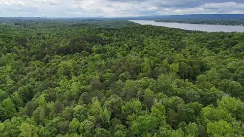 6020 Eaglewood Ln, Birchwood, TN 37308