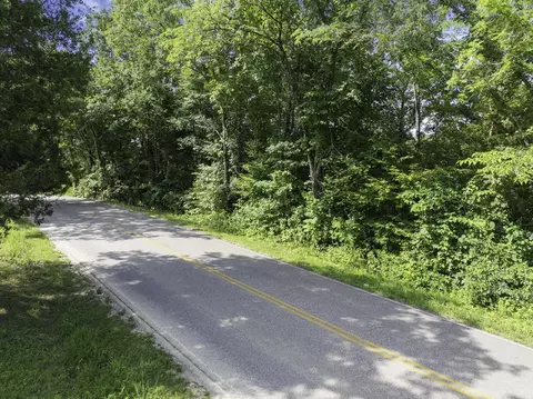 0 Highway 100 E, Decaturville, TN 38329