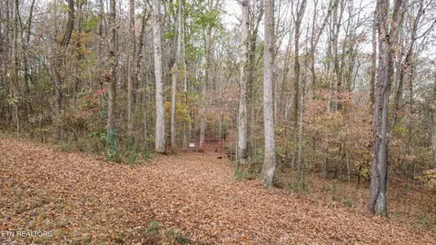 4 Parcel 059 04002 Rd, Englewood, TN 37329 photo 6