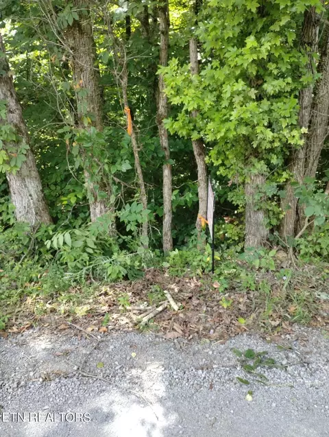 1 Webster-hollow Rd, Rogersville, TN 37857