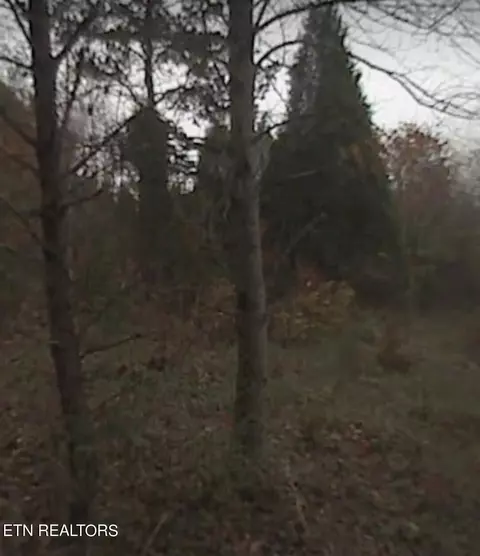 53 Willow Dr, Kingston, TN 37763