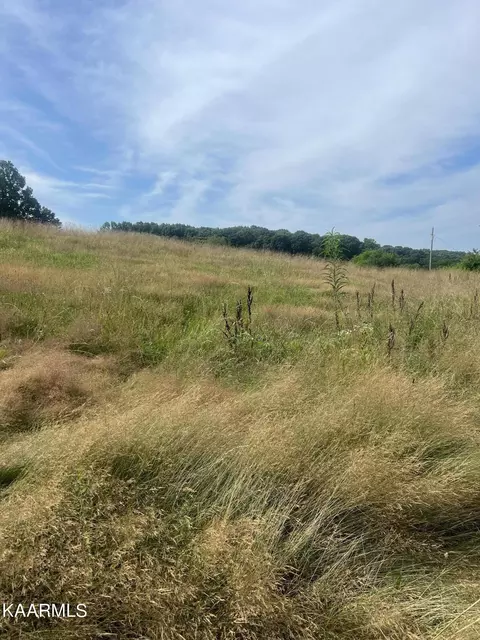 5596 Branch Rd, Loudon, TN 37774