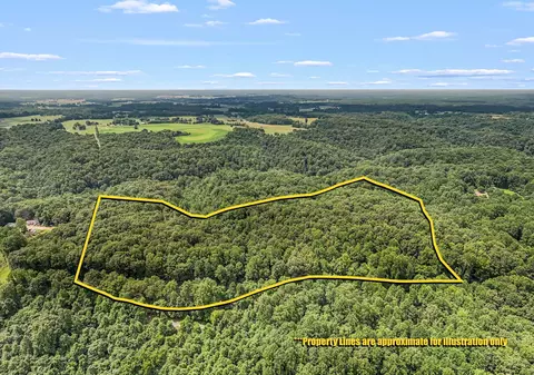 3950 Parchcorn Hollow Rd, Woodbury, TN 37190