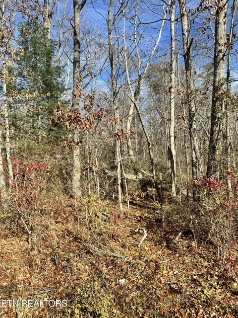 4121 Moccasin Ln, Crossville, TN 38555