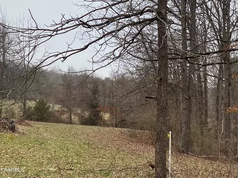 1141 Burks Loop Loop, Grimsley, TN 38565 photo 29