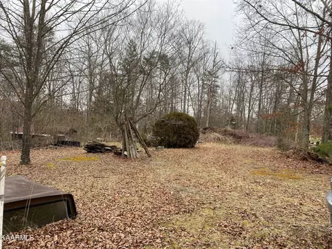 1141 Burks Loop Loop, Grimsley, TN 38565 photo 16