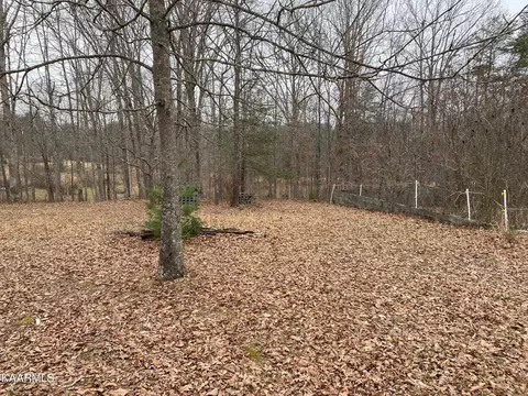 1141 Burks Loop Loop, Grimsley, TN 38565 photo 19