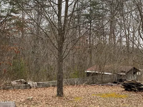 1141 Burks Loop Loop, Grimsley, TN 38565 photo 30
