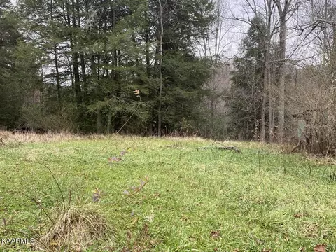 1220 Burks Loop Loop, Grimsley, TN 38565 photo 12