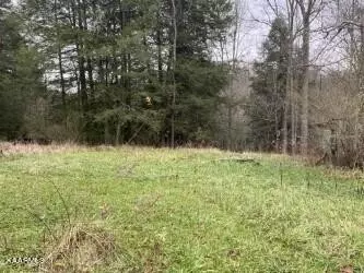 1220 Burks Loop Loop, Grimsley, TN 38565 photo 11