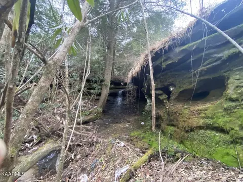 1220 Burks Loop Loop, Grimsley, TN 38565 photo 6