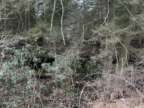 1220 Burks Loop Loop, Grimsley, TN 38565 photo 8