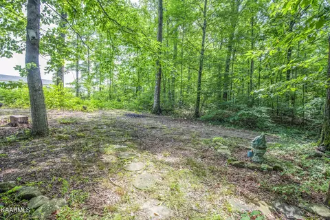 7940 Stanley Rd, Powell, TN 37849 photo 57