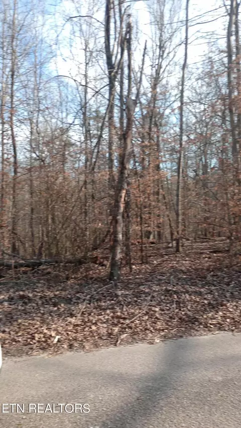 0 Carl Griffith Rd, Robbins, TN 37852 photo 2