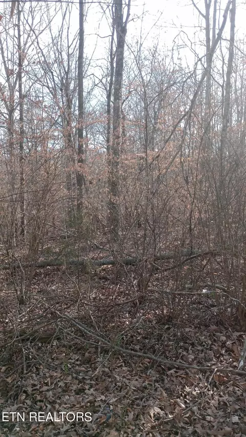 0 Carl Griffith Rd, Robbins, TN 37852 photo 3