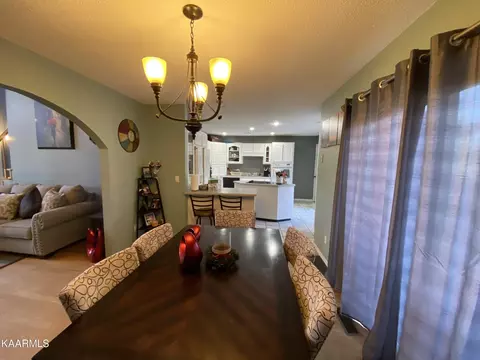 160 Colditz, Oneida, TN 37841 photo 43