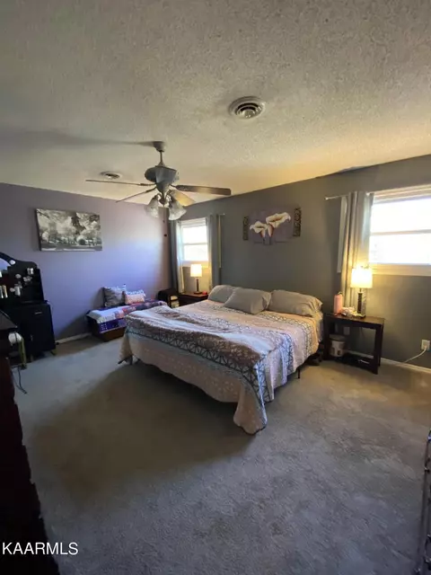 160 Colditz, Oneida, TN 37841 photo 30