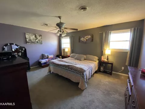 160 Colditz, Oneida, TN 37841 photo 29