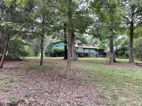 1610 Wilderness Dr, Talbott, TN 37877 photo 14
