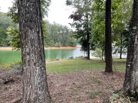 1610 Wilderness Dr, Talbott, TN 37877 photo 10