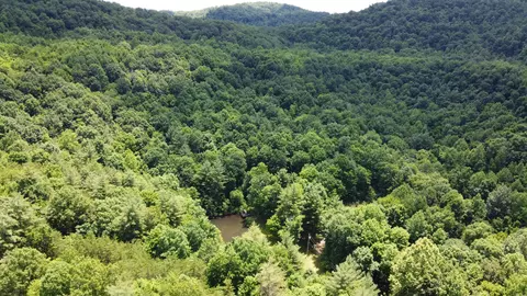 449 Thompson Tr, Winfield, TN 37892 photo 18
