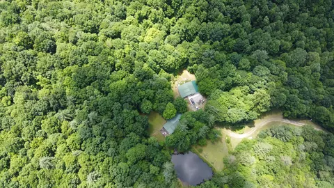 449 Thompson Tr, Winfield, TN 37892 photo 2