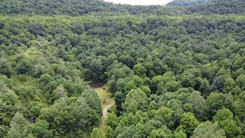 449 Thompson Tr, Winfield, TN 37892 photo 17