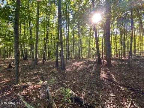 0 Partridge Tr, Grandview, TN 37337