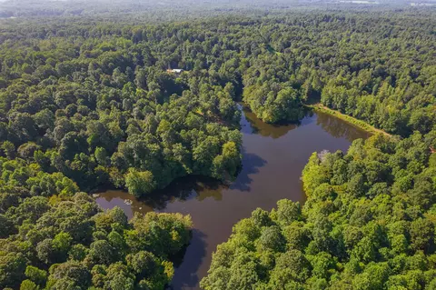 View/Area - 547 Willoughby Rd, Beech Bluff, TN 38313 photo 22 of 40
