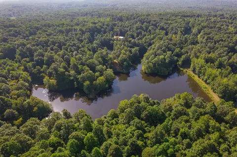 View/Area - 547 Willoughby Rd, Beech Bluff, TN 38313 photo 21 of 40