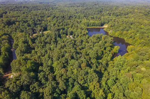 View/Area - 547 Willoughby Rd, Beech Bluff, TN 38313 photo 27 of 40