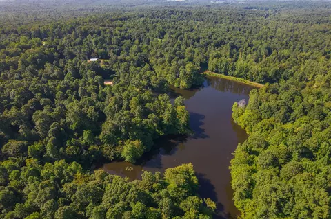 View/Area - 547 Willoughby Rd, Beech Bluff, TN 38313 photo 23 of 40