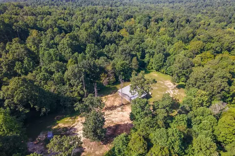 View/Area - 547 Willoughby Rd, Beech Bluff, TN 38313 photo 40 of 40