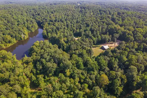 View/Area - 547 Willoughby Rd, Beech Bluff, TN 38313 photo 15 of 40