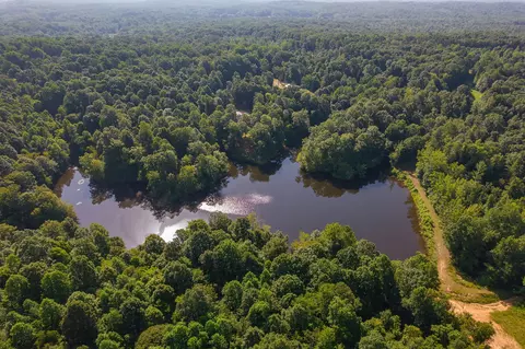 View/Area - 547 Willoughby Rd, Beech Bluff, TN 38313 photo 20 of 40
