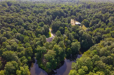 View/Area - 547 Willoughby Rd, Beech Bluff, TN 38313 photo 29 of 40