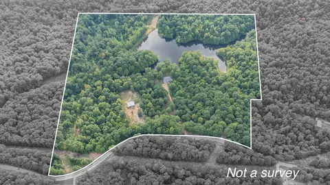 View/Area - 547 Willoughby Rd, Beech Bluff, TN 38313 photo 2 of 40