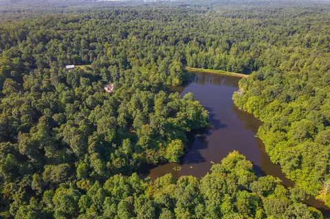 View/Area - 547 Willoughby Rd, Beech Bluff, TN 38313 photo 24 of 40
