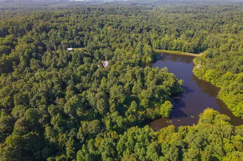 View/Area - 547 Willoughby Rd, Beech Bluff, TN 38313 photo 25 of 40