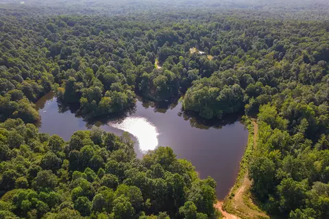 View/Area - 547 Willoughby Rd, Beech Bluff, TN 38313 photo 19 of 40
