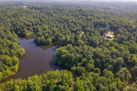 View/Area - 547 Willoughby Rd, Beech Bluff, TN 38313 photo 17 of 40