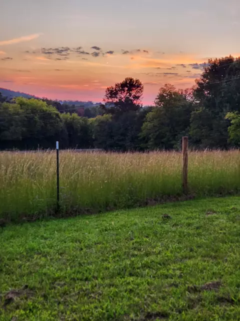 1055 Chestnut Grove Rd, Morrison, TN 37357 photo 35