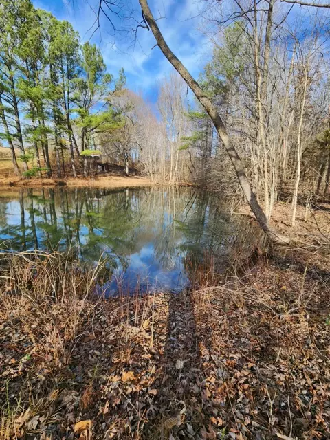 1055 Chestnut Grove Rd, Morrison, TN 37357 photo 36
