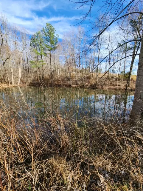 1055 Chestnut Grove Rd, Morrison, TN 37357 photo 38